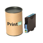 Epson T0485, C13T04854010