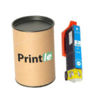 Epson T26XL, C13T26324012