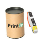 Epson 33XL, C13T33614012