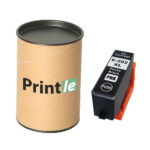 Epson 202XL (C13T02H14010) photo black 800psl (Printle)