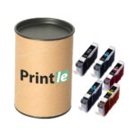 Canon CLI-42 kasečių rinkinys c/m/y/pc/bk (Printle)