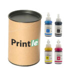 Epson 664 kasečių rinkinys c/m/y/bk (Printle)