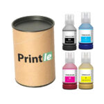 Epson T49N kasečių rinkinys c/m/y/bk (Printle)